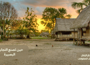 حين تصنع التجارب البصيرة